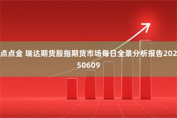 点点金 瑞达期货股指期货市场每日全景分析报告20250609