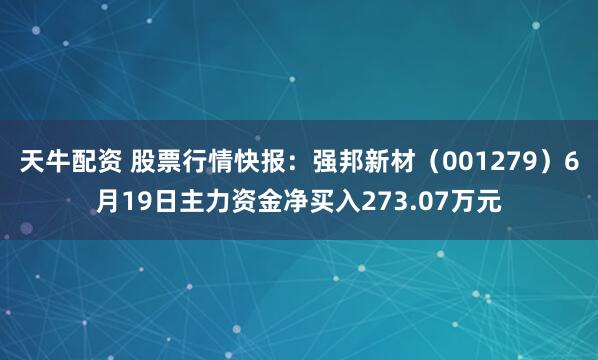 天牛配资 股票行情快报:强邦新材(001279)6月19日主力资金净买入273.07万元